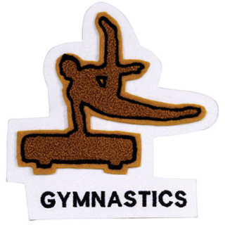 Male Gymnast